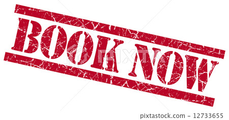 book now red square grungy isolated rubber stamp 12733655