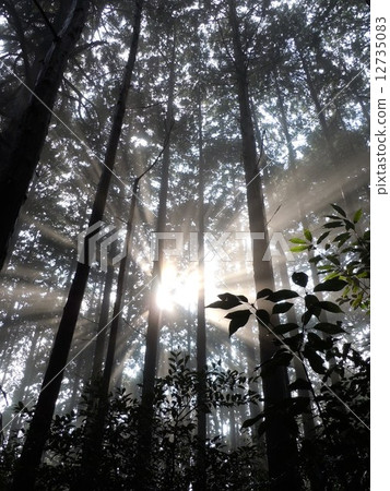 Light poured into Mount Tsukuba 12735083