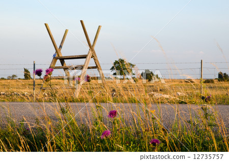Stile over barb wire with flowers in foreground Stile over barb wire with flowers in foreground 12735757