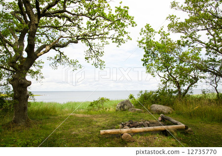 Barberque place at coast with green trees 12735770