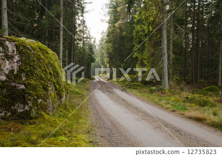 Big mossy rock at a dirt road side Big mossy rock at a dirt road side 12735823