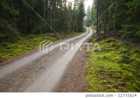Green environment with a winding gravel road Green environment with a winding gravel road 12735824