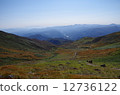 月山 12736122