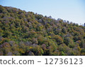 月山 12736123