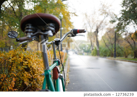 Mountain bike. Active leisure on the nature 12736239