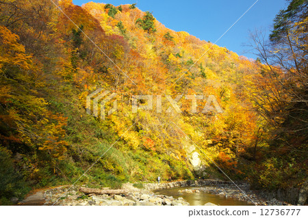 青森西島村黑暗的大門 青森西島村黑暗的大門 12736777