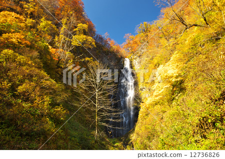 Aomori Ajigasawa town Kurokuma waterfall 12736826