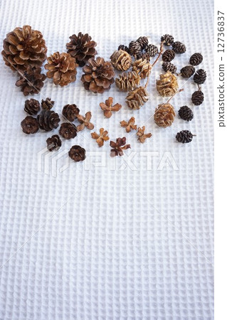 Various tree nuts 12736837