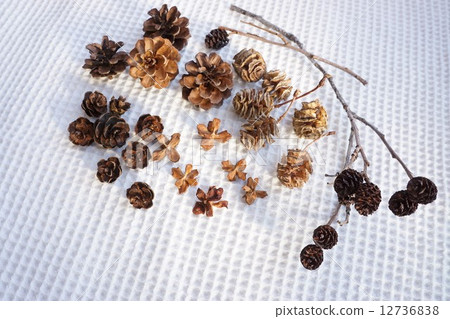 Various tree nuts 12736838