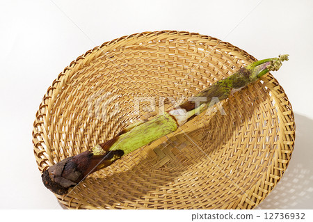 野生蔬菜·山烏冬面·蔬菜 野生蔬菜·山烏冬面·蔬菜 12736932