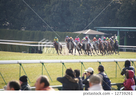 Fourth corner 12739261