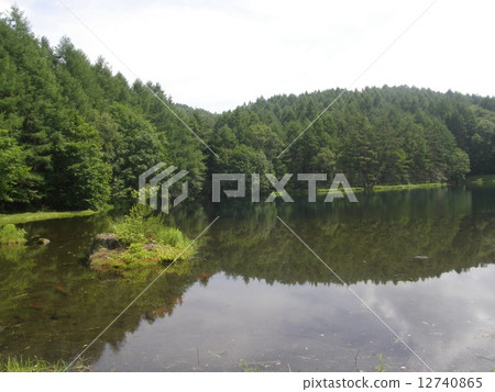 Shrine pond 12740865