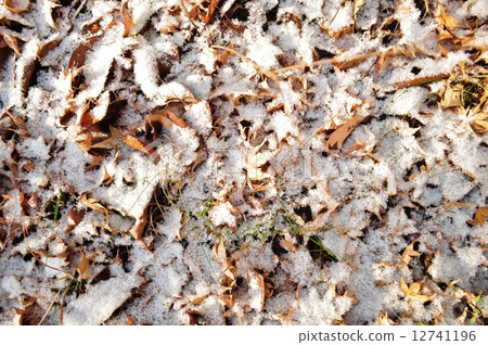 晴朗的降雪 晴朗的降雪 12741196