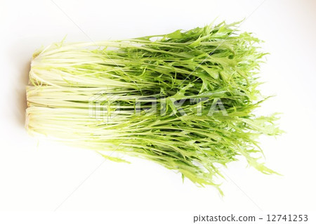 Mizuna Mizuna 12741253