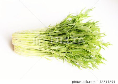 Mizuna Mizuna 12741254