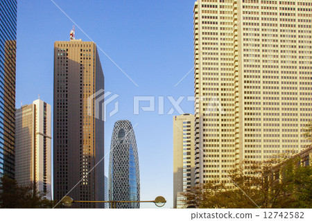 新宿高層建築群 新宿高層建築群 12742582