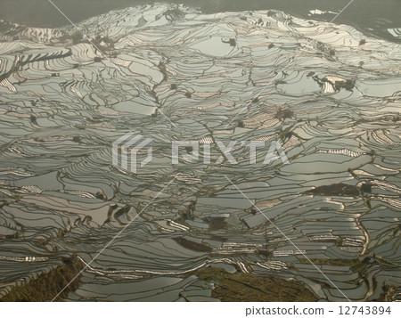 Yuanyang's rice terrace Yuanyang's rice terrace 12743894