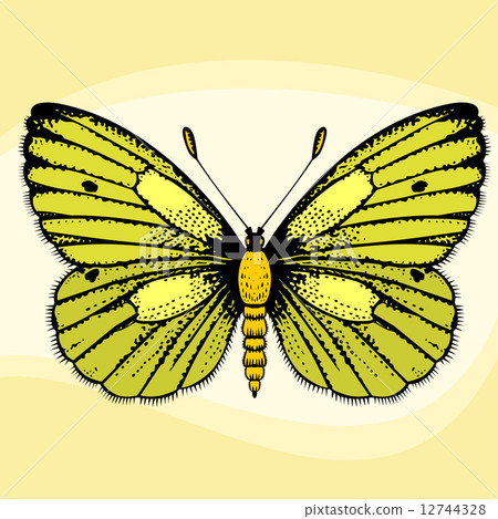 Yellow butterfly 12744328