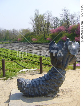 長野大芥末農場 12744453