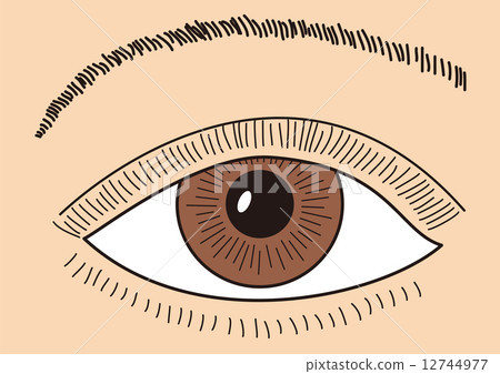 eye 12744977
