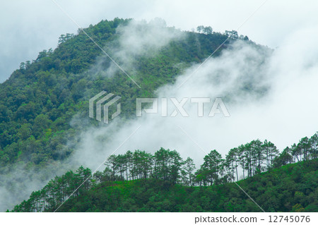 Fog and cloud mountain valley landscape 12745076