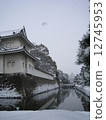 Snow Nijo castle 12745953