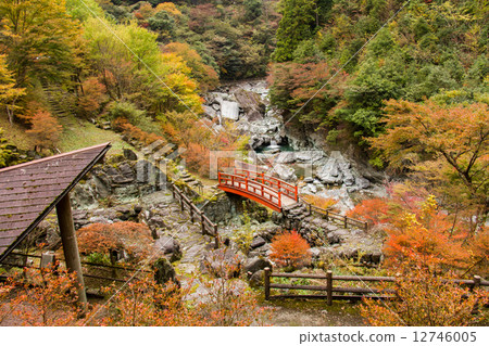 Yasu Valley Momiji Park 12746005