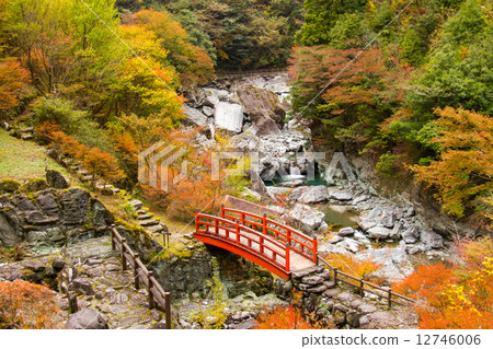 高知縣Nitodokawa鎮Yasui Valley Momiji Park 12746006