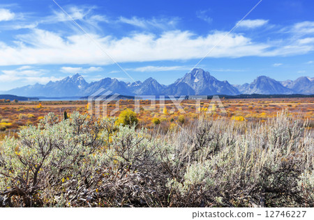 Grand Teton 12746227