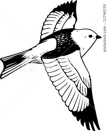 Bird 12746539