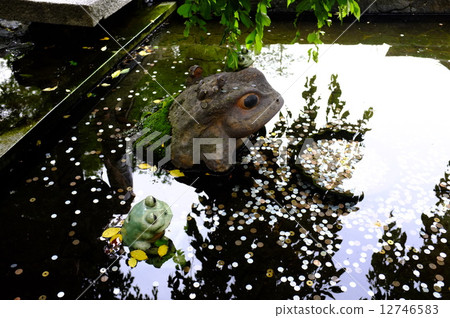 Like Tenryu-ji's frog 12746583