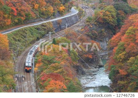 Line 115 train going on Suwa gorge Line 115 train going on Suwa gorge 12746726