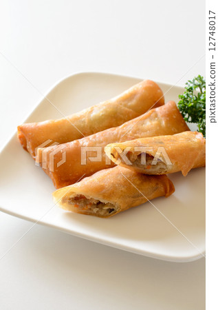 Fried spring roll 12748017