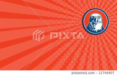 Business card American Bald Eagle Head Circle Retro 12748407