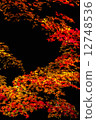 Autumn leaves 12748536