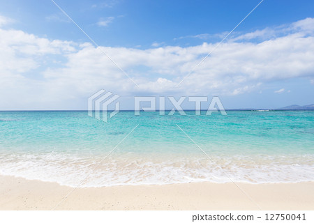 在沖繩島的海灘/使命海灘 12750041