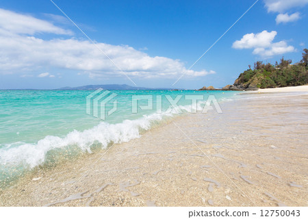 Beach / Mission Beach in Okinawa 12750043