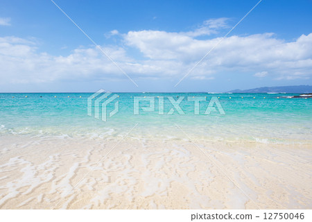 Beach / Mission Beach in Okinawa 12750046