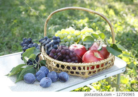 Fruit picking 12750965