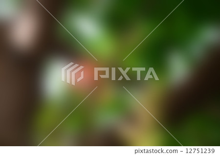 Cannonball flowers Cannonball flowers 12751239