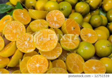 Many fresh slice Citrus fruit Many fresh slice Citrus fruit 12751539