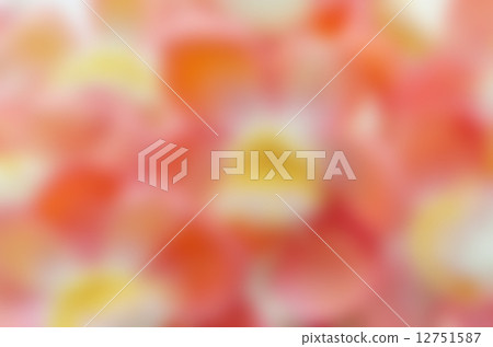 Cannonball flowers 12751587