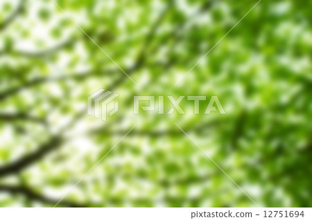 Green natural background of out of focus forest or bokeh 12751694