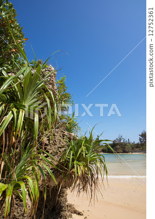 Beach in Okinawa · Uba neighborhood park beach 12752361