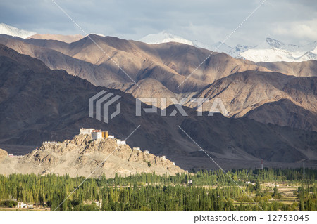 Matho Monastery is a Buddhist monastery in Ladakh, India 12753045