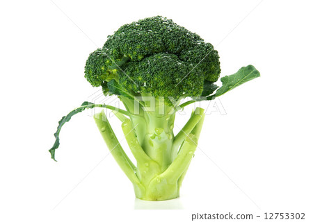 broccoli broccoli 12753302