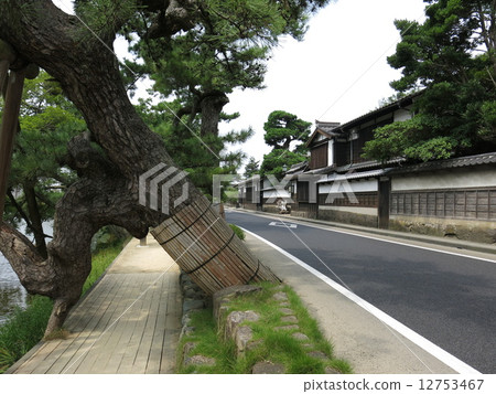 松江市的Shiomi Nawate(武士住宅,苗圃松)的城市景觀 松江市的Shiomi Nawate(武士住宅,苗圃松)的城市景觀 12753467