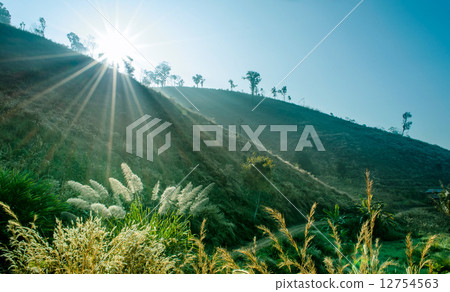 Sunbeam and Soft Mist over Country Hill Landscape 12754563