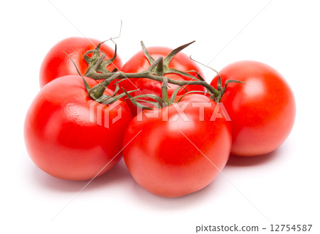 branch of tomatoes 12754587