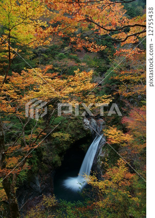 Autumnal Canyon and Cauldron Falls 12755438